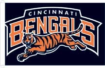 Cincinnati Bengals Flag