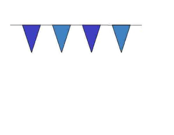 100ft Pennant String - Blue