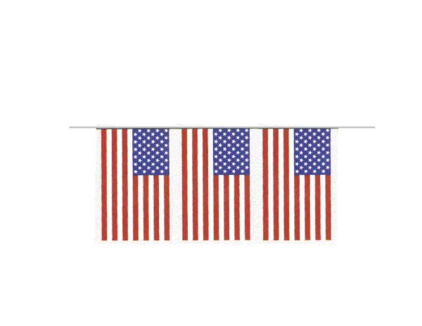 100ft Pennant String - US Flags