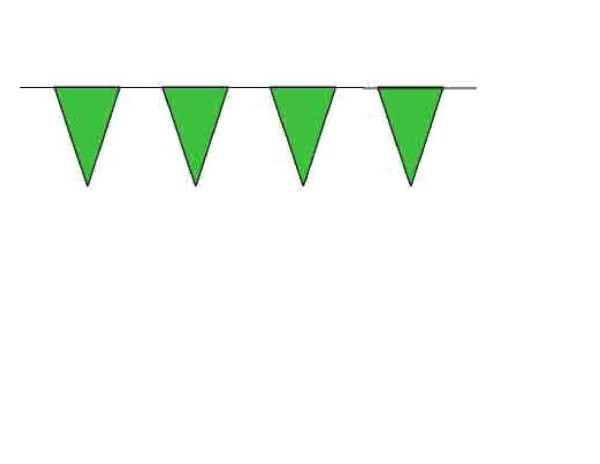 100ft Pennant String - Green