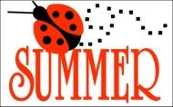 Summer Ladybug