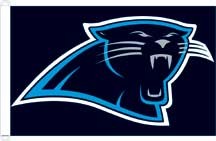 Carolina Panthers Flag
