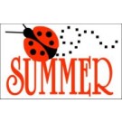 Summer Ladybug