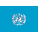 Flag of the United Nations